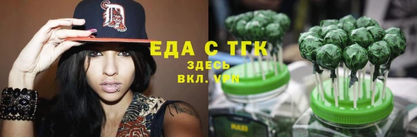 гидра Гусев