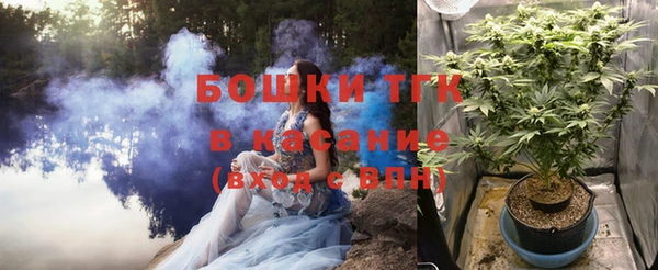 шишки Дмитриев