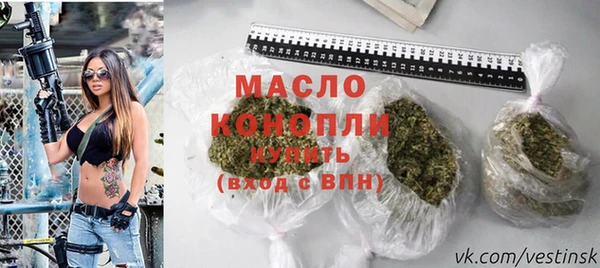 СК Дмитров