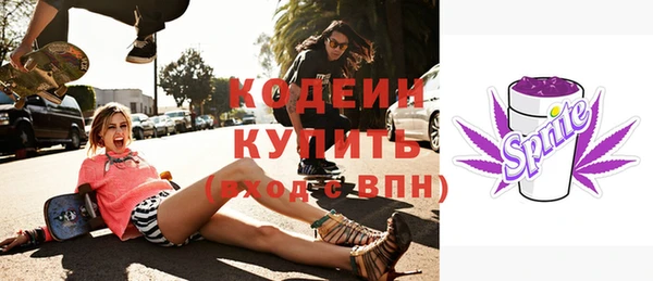 гидра Гусев