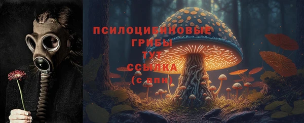 герыч Горнозаводск